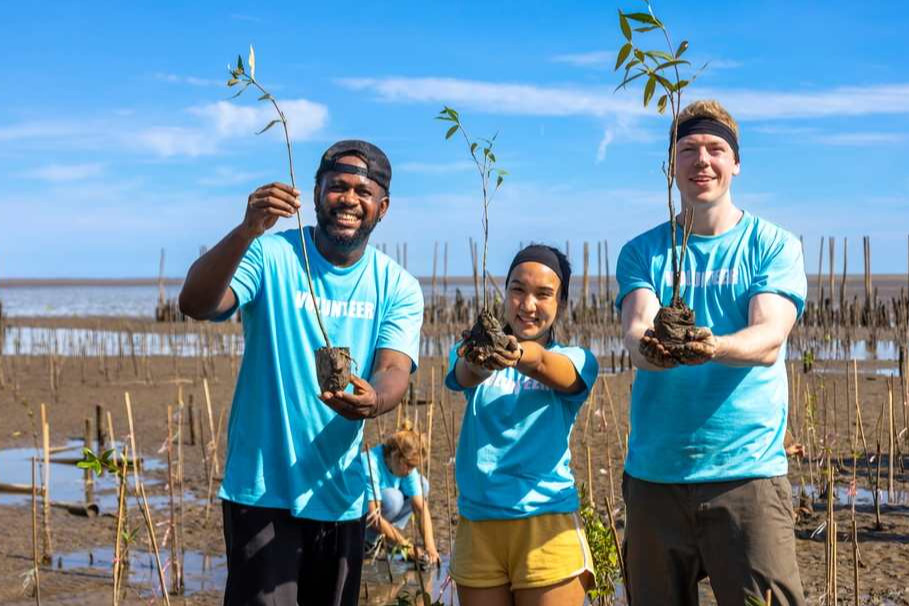 Groupe de jeunes bénévoles diversifiés appréciant le travail social bénévole en plein air lors de la plantation de mangroves.