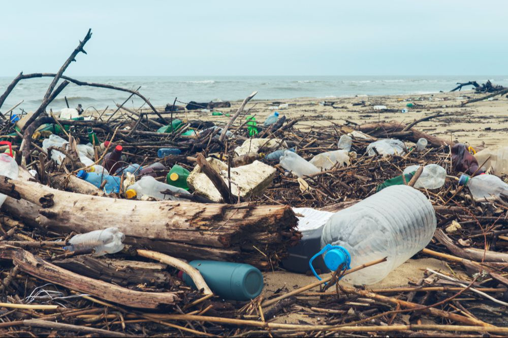 Déchets déversés sur la plage de la grande ville. Bouteilles en plastique usagées et sales. Rivage sablonneux sale de la mer Noire. Pollution environnementale. Problème écologique. Flou cinétique des Déchets déversés sur la plage de la grande ville. Bouteilles en plastique usagées et sales. Rivage sablonneux sale de la mer Noire. Pollution environnementale. Problème écologique. Flou cinétique des