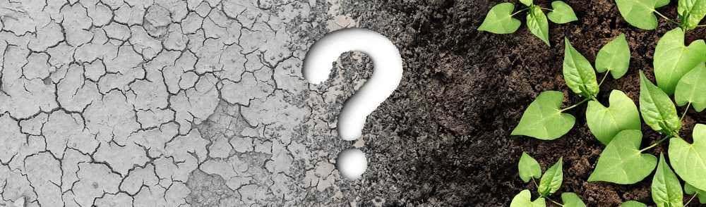 Question sur le changement climatique illustrée par une terre sèche et craquelée souffrant de la sécheresse se transformant en une terre organique riche et humide avec une jeune plante en croissance c Question sur le changement climatique illustrée par une terre sèche et craquelée souffrant de la sécheresse se transformant en une terre organique riche et humide avec une jeune plante en croissance c