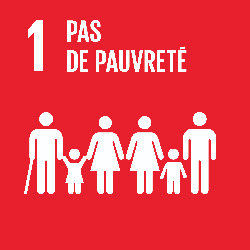 Description de pas de pauvreté